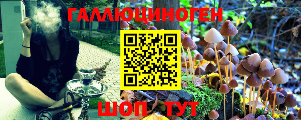 Псилоцибиновые грибы ЛСД Ростов Великий